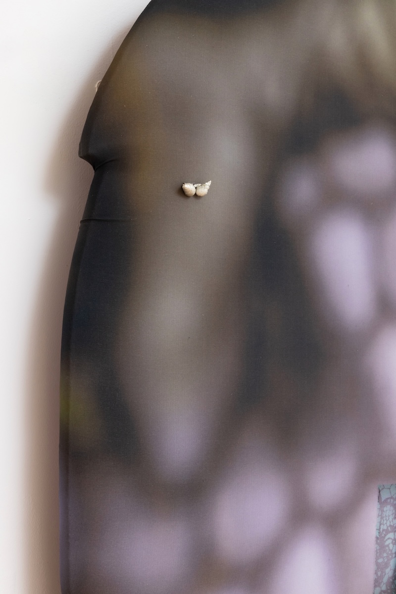 57-PEEK-A-BOO-X-BRASS-RING